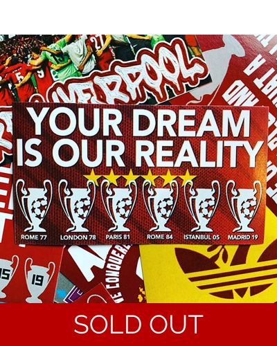 100 - Your Dream Is Our Reality 9cm x 5cm Stickers